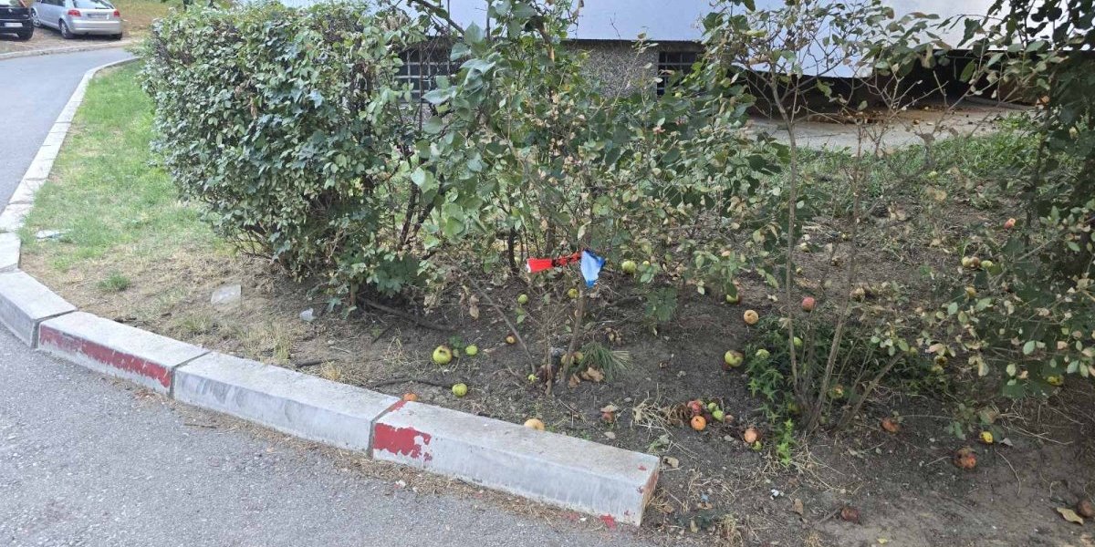 Policija obavila uviđaj 