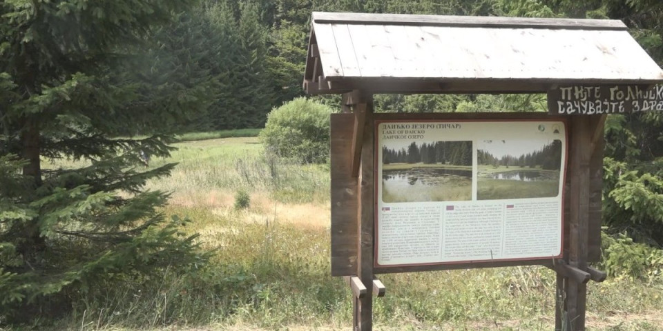 Čudo prirode: Srpske orhideje rastu na ovoj planini! (FOTO)