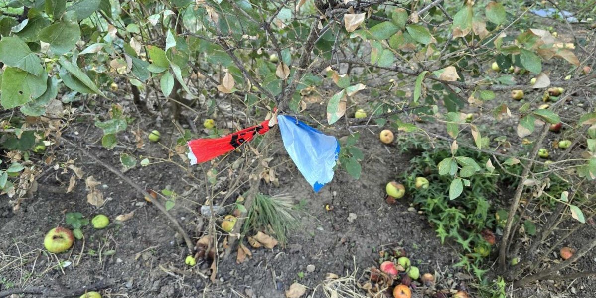 Policija obavila uviđaj 