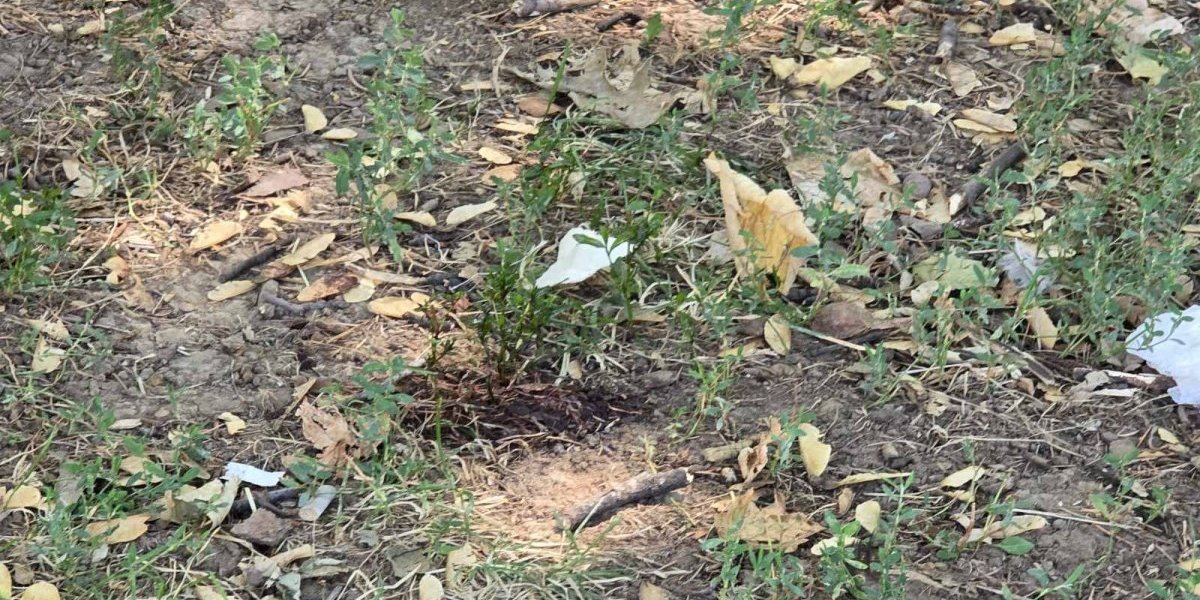 Tragovi krvi svedoče o napadu