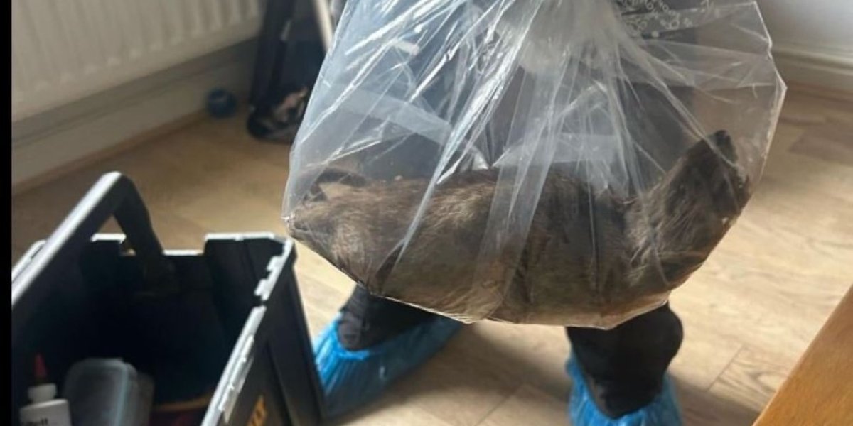 Britanci u šoku: Ljudi došli kući i zatekli jeziv prizor - sada počinje politički obračun! (FOTO)