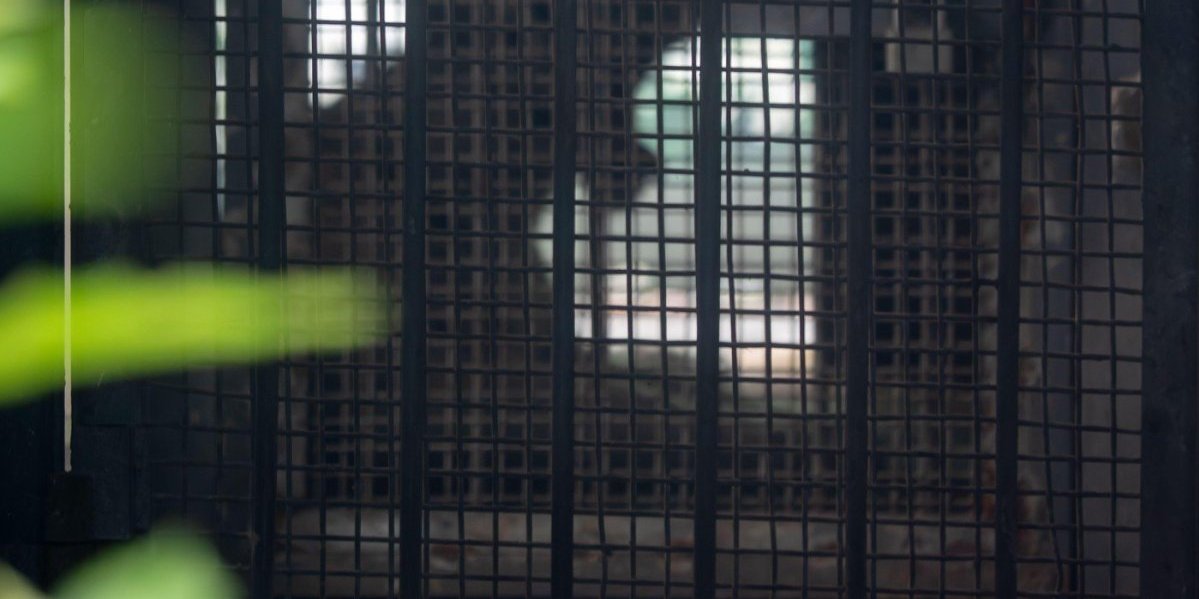 Zoološki vrt u kojem su ljudi u kavezu, a životinje slobodno šetaju - Srce da vam stane, a oni plaćaju za to (VIDEO)