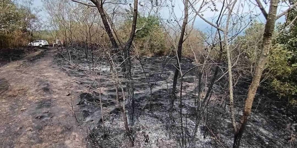 Požar u Vladičinom Hanu