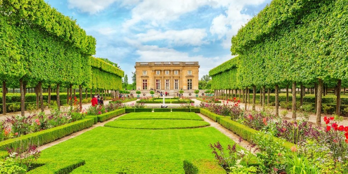 Cvet koji je krasio Versaj - Zovu ga Bogorodičin cvet, a obožavaju ga i žene u Srbiji (FOTO)