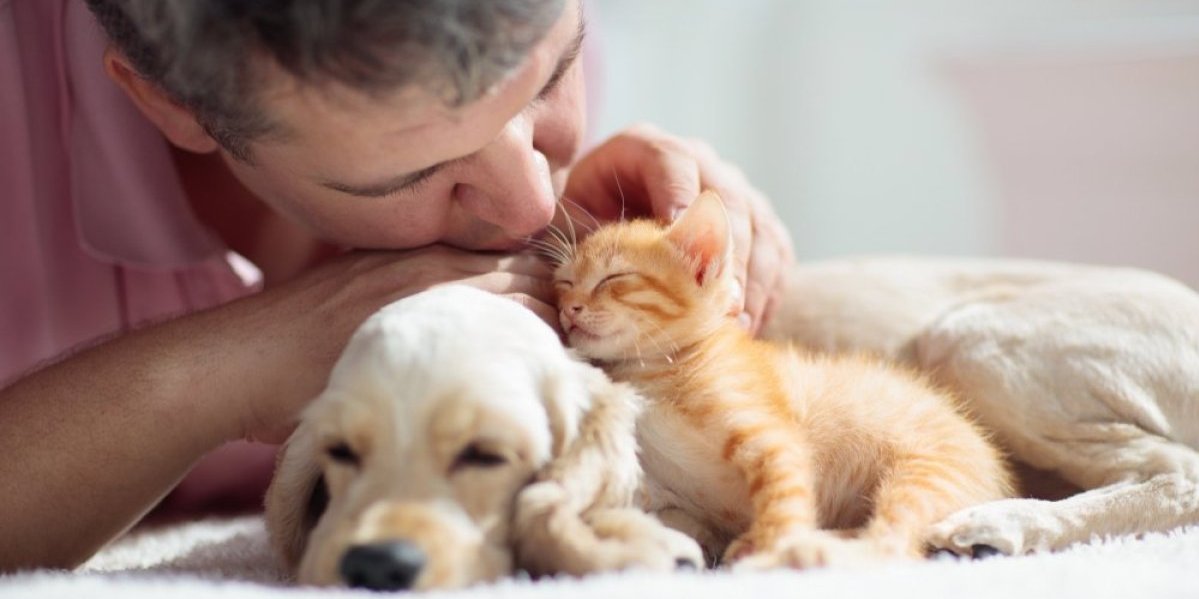 Da li psi čine ljude srećnijima od mačaka? Odgovor će vas iznenaditi