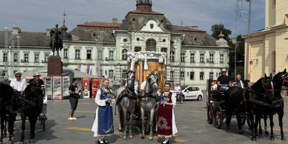 Zašto bi trebalo da posetite Zrenjanin ovih dana (VIDEO)