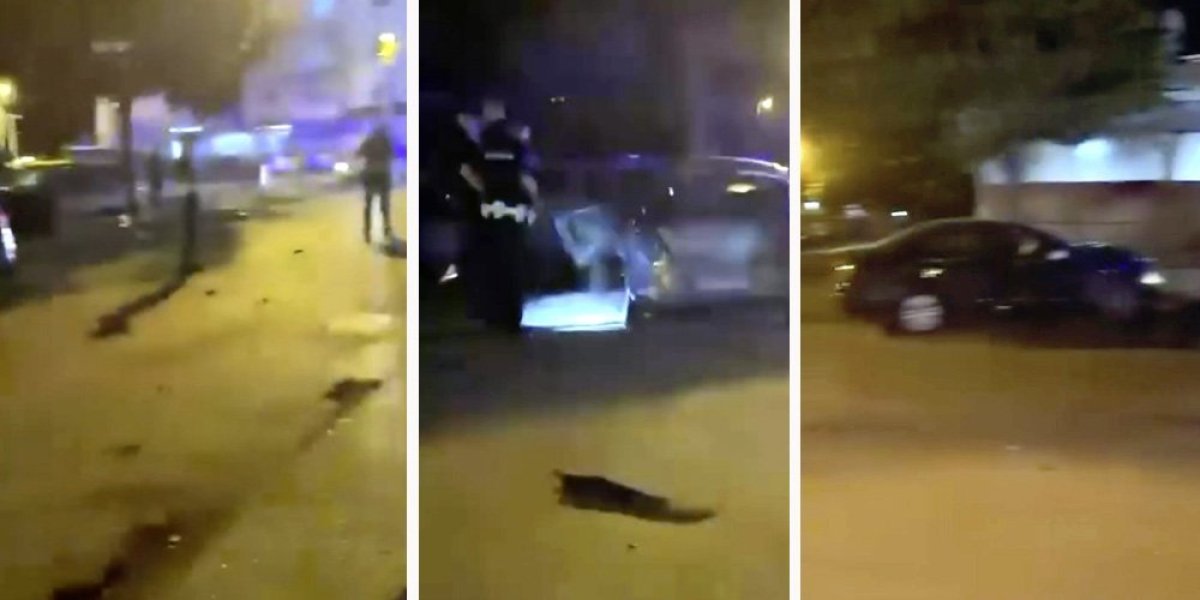 Jeziva nesreća kod Požarevca: Jedna devojka povređena, delovi svuda po putu (VIDEO)