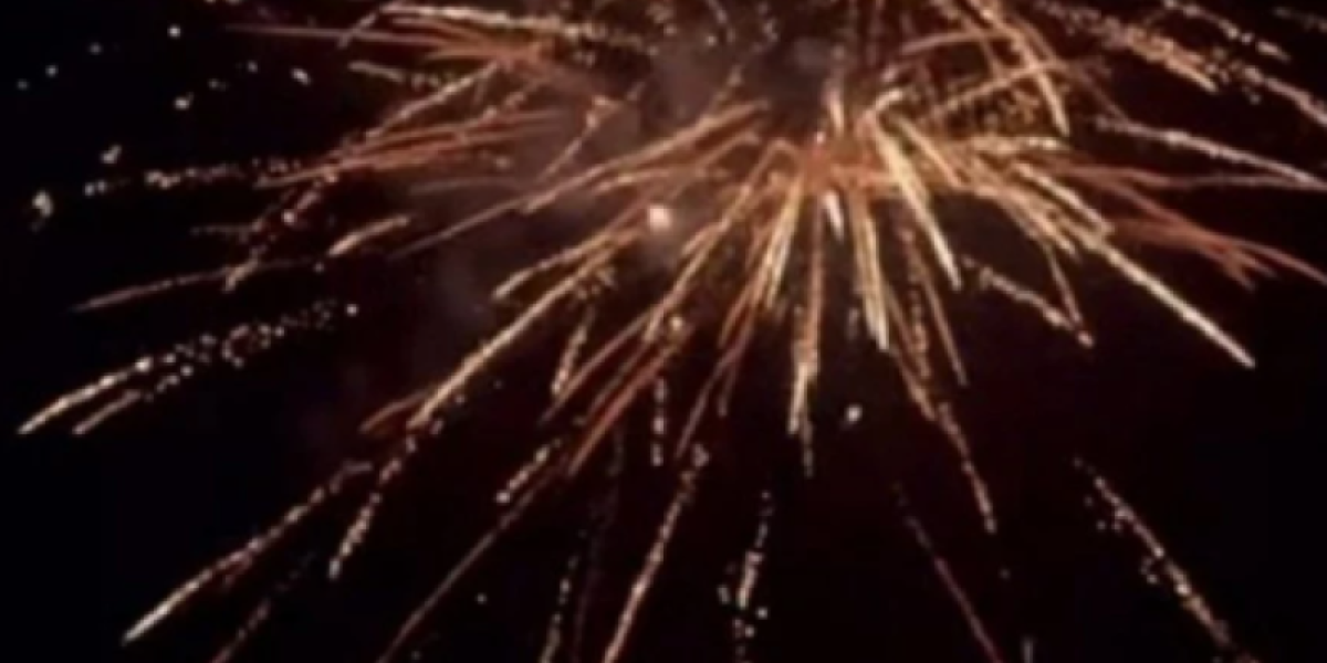 Punoletstvo Ive Zvicer