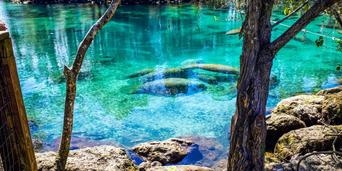 Zbog kupanja u ovoj reci turisti idu u zatvor na godinu dana: Utočište je bića iz bajke (FOTO)