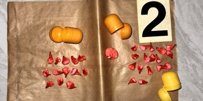 Policija u Sremskoj Mitrovici uhapsila je V. T. (23), zbog postojanja osnova sumnje da je izvršio krivična dela neovlašćena proizvodnja i stavljanje u promet opojnih droga i nedozvoljena proizvodnja, držanje, nošenje i promet oružja i eksplozivnih materija.