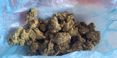 Policija u Obrenovcu uhapsila K. I. (46) zbog postoјanja osnova sumnje da јe izvršila krivično delo neovlašćena proizvodnja i stavljanje u promet opoјnih droga.