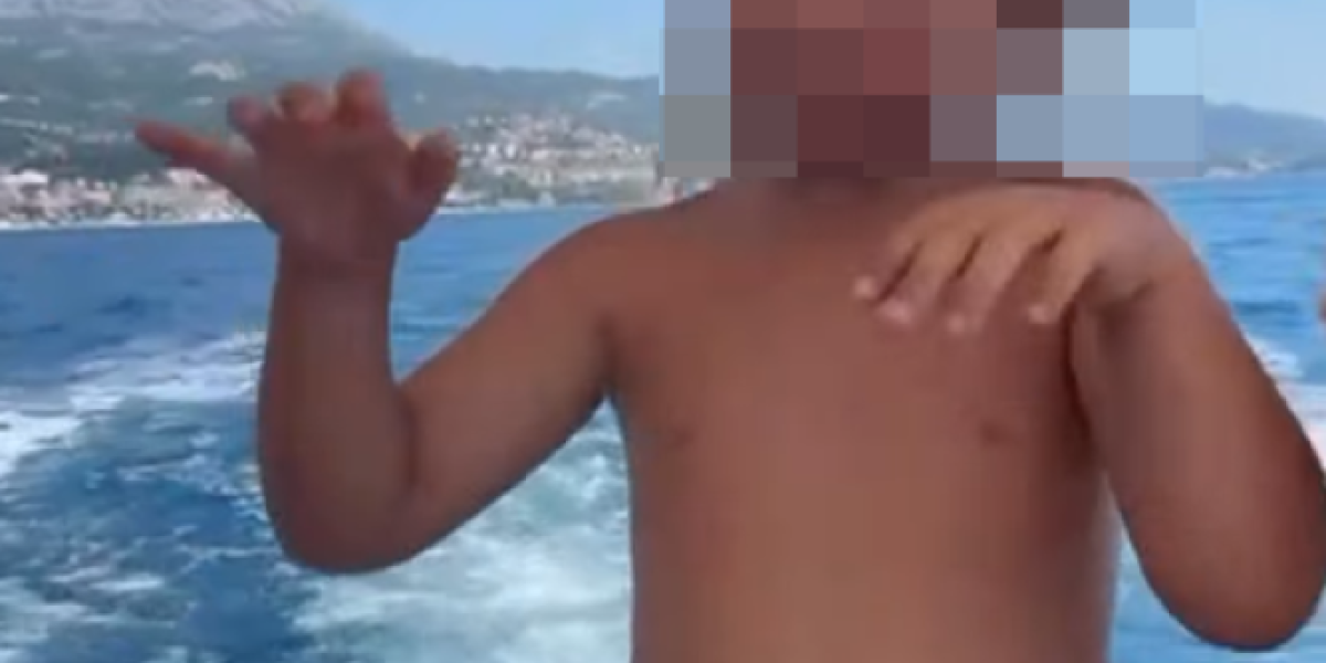 Objava Jovana Pantića