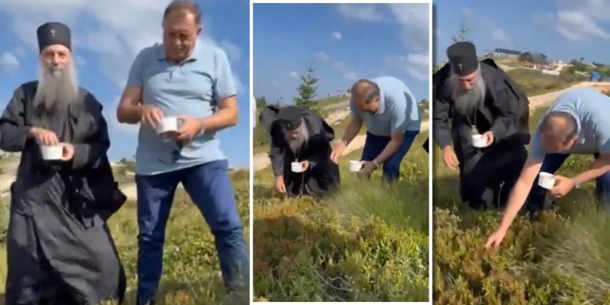 Dodik i patrijarh beru borovnice: "Kad su ruke čiste, a savest mirna" (VIDEO)