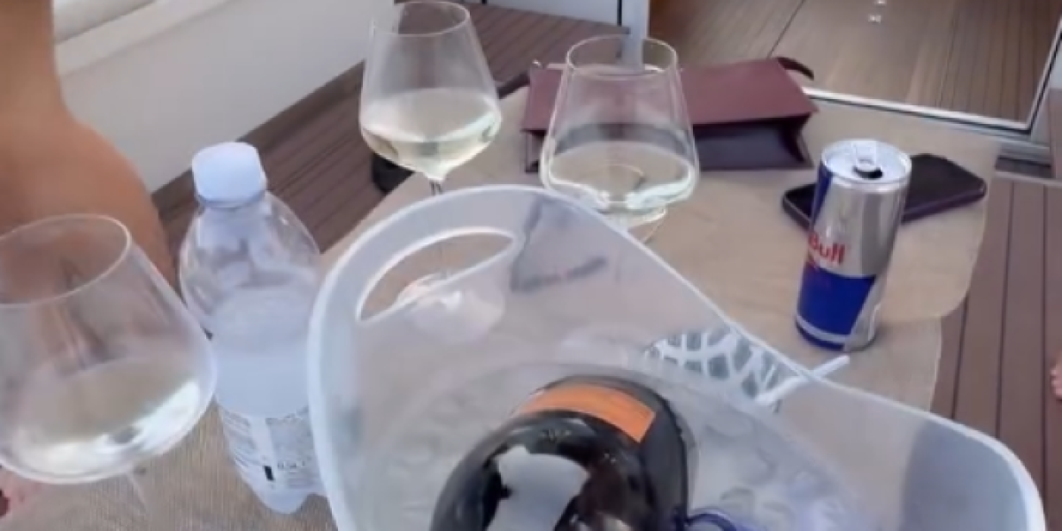 Rođendanska žurka Milice Pavlović na brodu