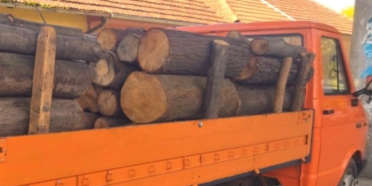 Mislite li na zimu po ovoj vrućini? Hrastovina najskuplja