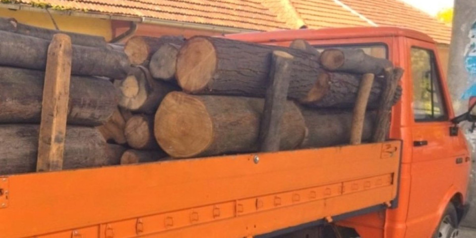 Mislite li na zimu po ovoj vrućini? Hrastovina najskuplja