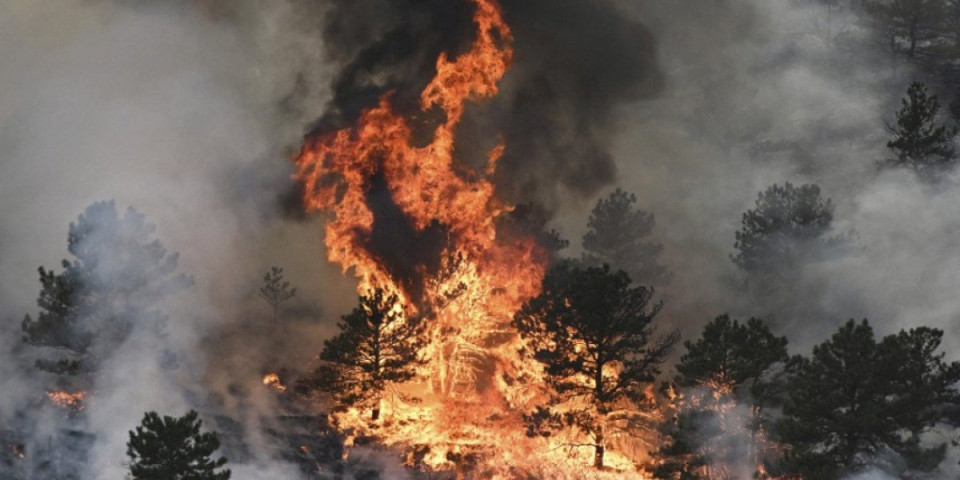 Požar kod Niša: Vatra zahvatila veliku površinu