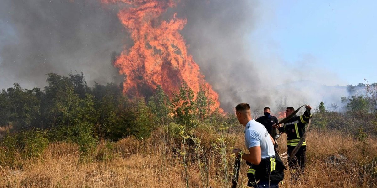 Snimak požara koji srce slama: Brat i sestra se popeli na brdo, pa uradili ovo (VIDEO)