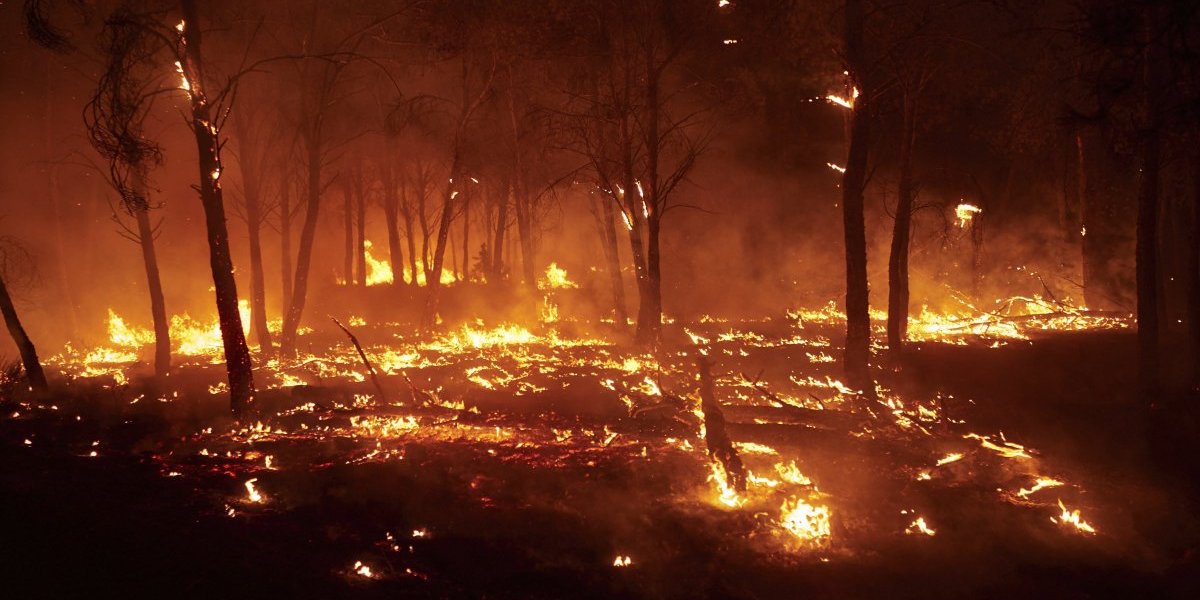 (VIDEO) Albanija gori! Besni 37 požara, policija traga za piromanima dok traje masovna evakuacija