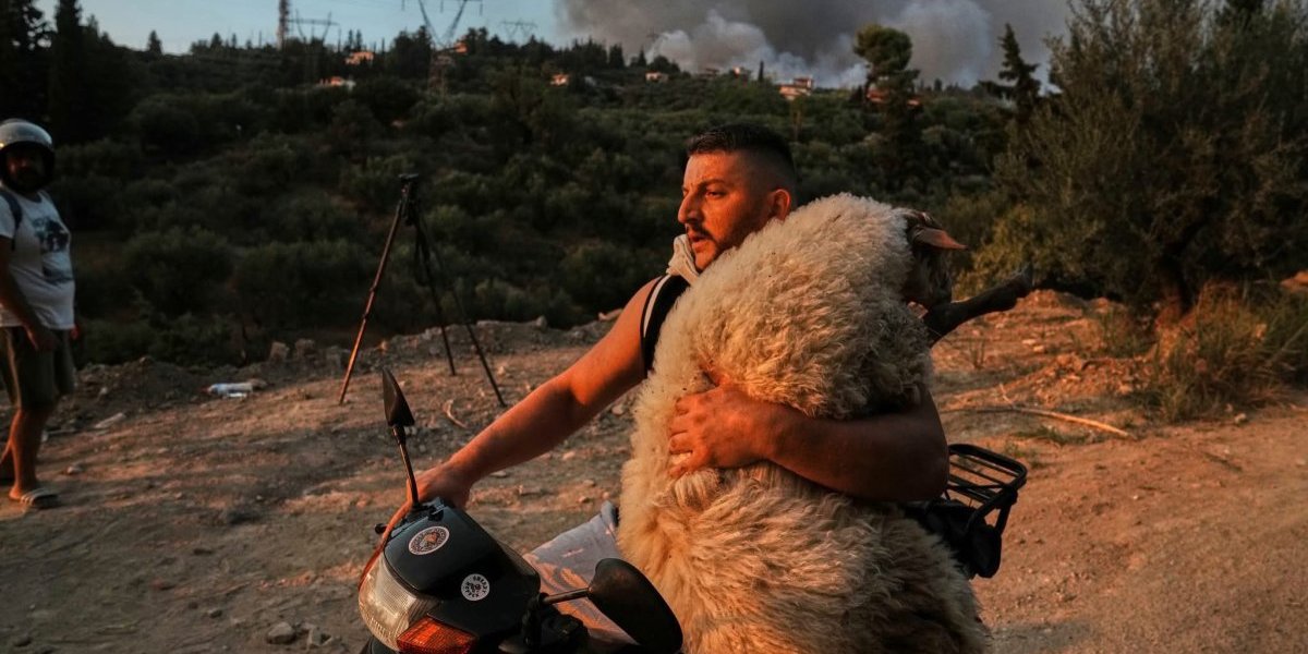 Drama u Grčkoj: Požari ne jenjavaju - vatra zahvatila omiljena srpska letovališta! (FOTO/VIDEO)