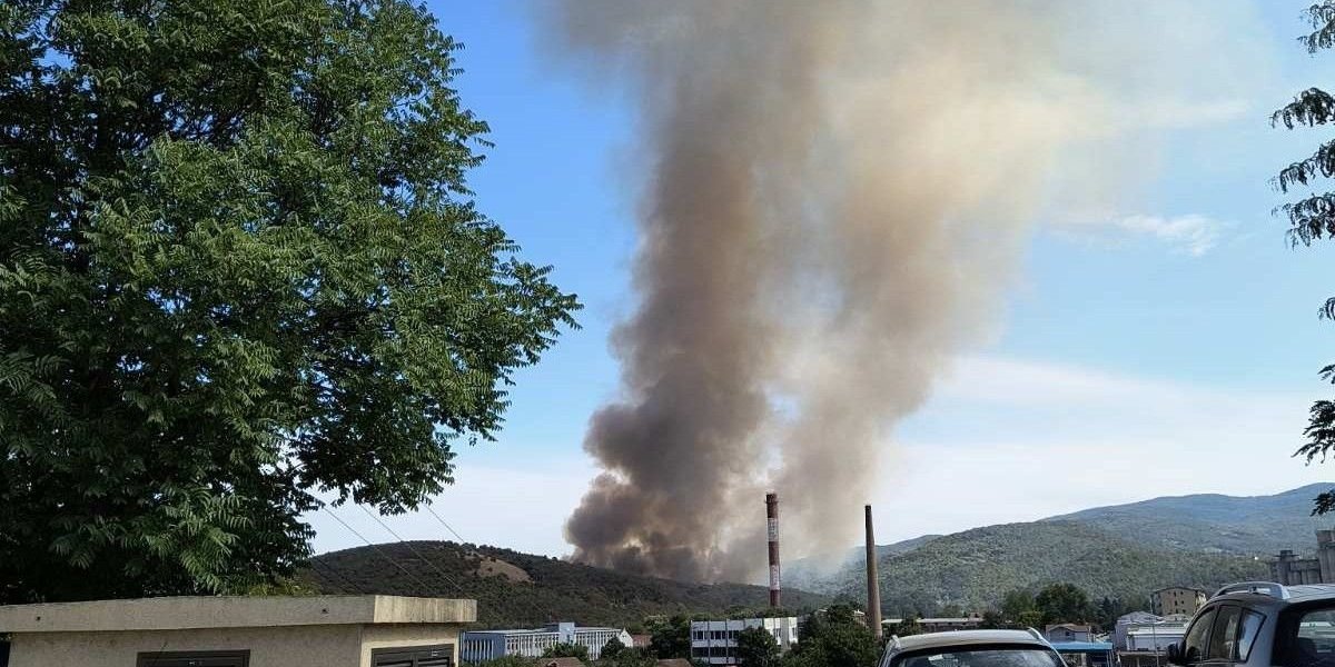 Požari u Topličkom okrugu: Vatrena stihija na oko 10 lokacija (FOTO)