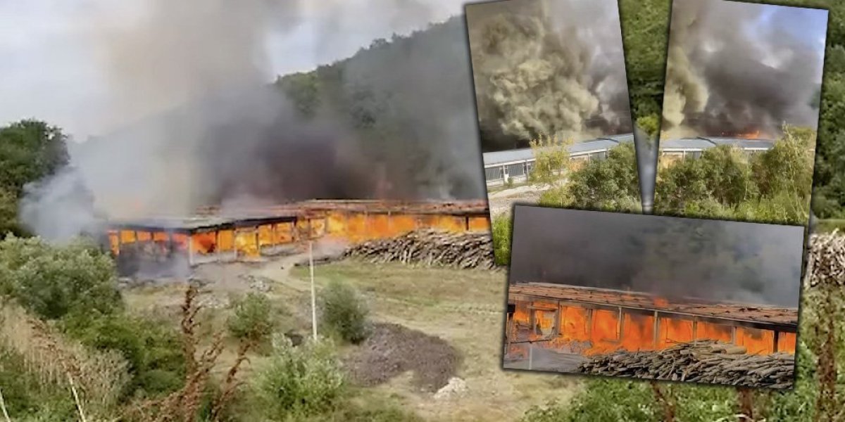 Gori poznata fabrika na jugu Srbije: Vatrogasci se satima bore sa vatrenom stihijom, vatra guta objekat (VIDEO)