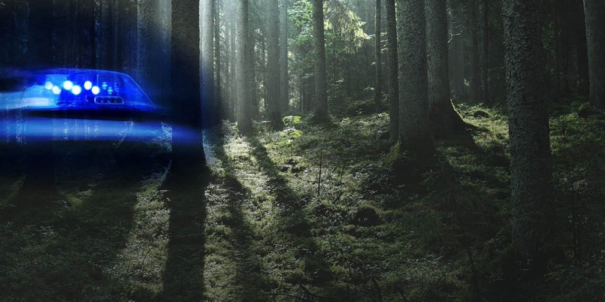 Sekao drva za ogrev i poginuo: Stablo ga udarilo u glavu i ubilo