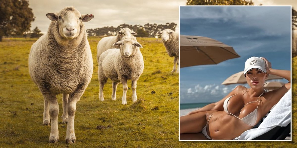 100 krava i 1.000 ovaca za Staniju: Starletu čeka iznenađenje u Srbiji