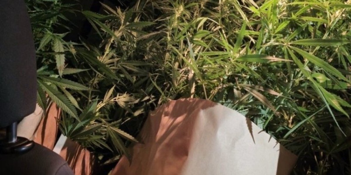 Uhapšen diler u Boru: Policija pronašla narko market (FOTO)