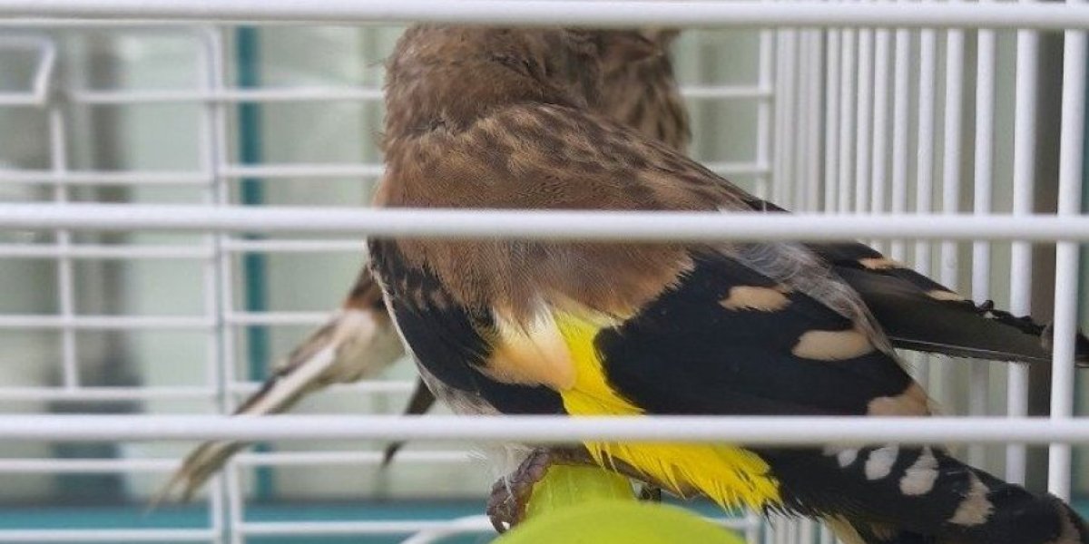 Sprečeno krijumčarenje