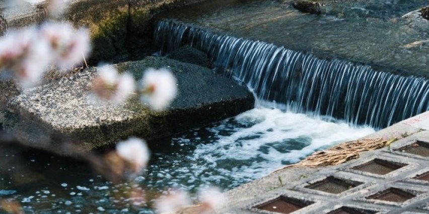 Japan je zemlja budućnosti :  Nema im ravnih - Ovi prizori su za nevericu (FOTO)