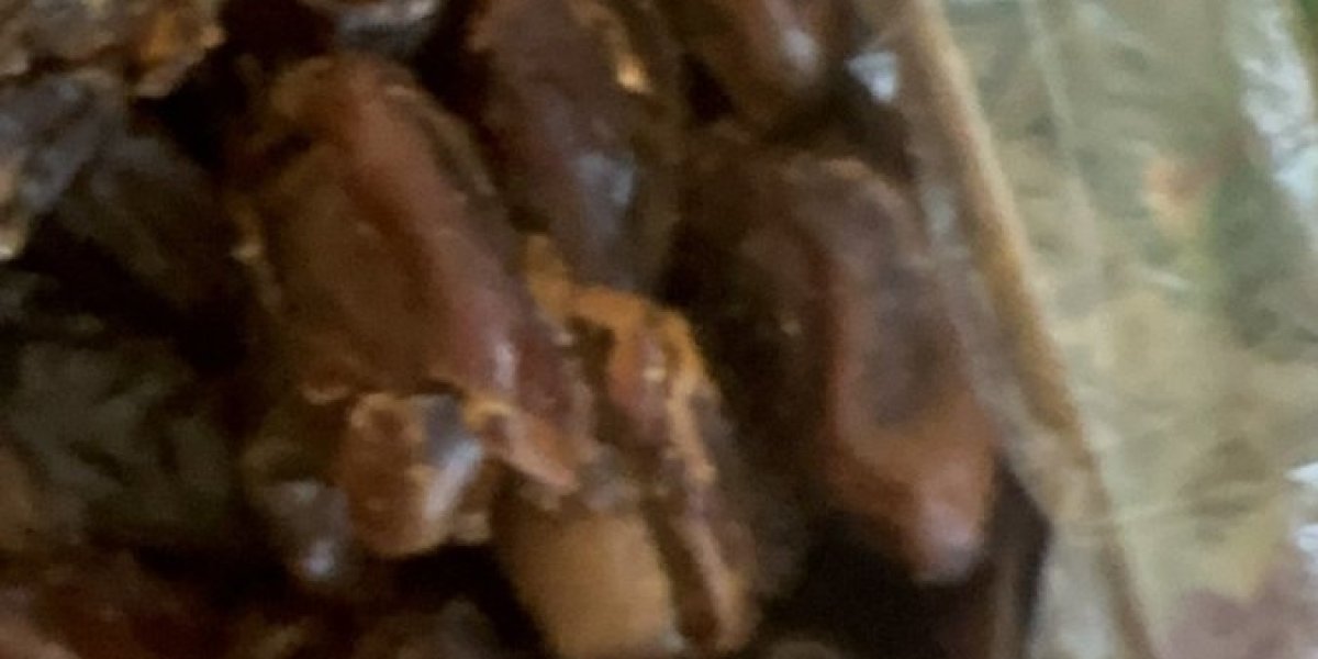 Čudni insekti urmama