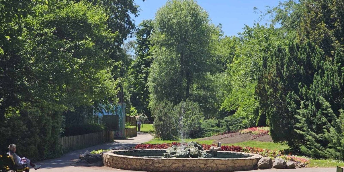 Nije Meksiko već Srbija: ZOO vrt dobija potpunu transformaciju - Evo kada se očekuje završetak radova