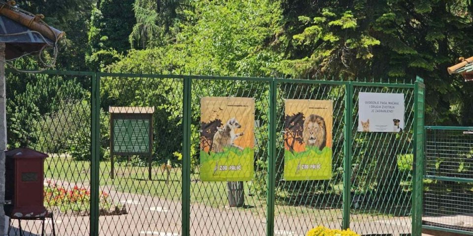 Novi jelovnik životinja u zoo-vrtu Palić: Malo im je, koliko im prija