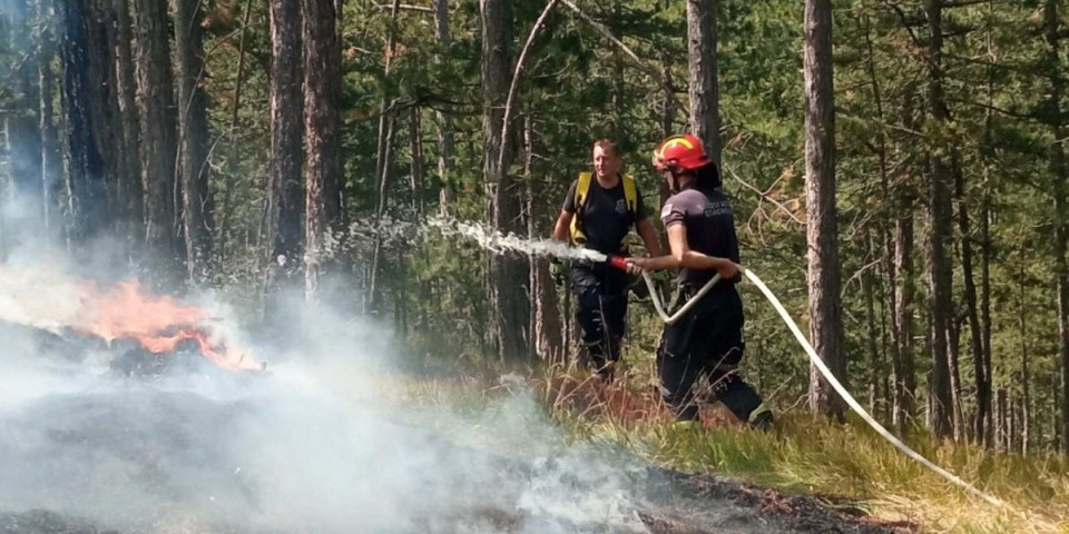 Bukti požar u ovom delu Srbije: Vatra guta sve pred sobom, uništene brojne vikendice (FOTO)
