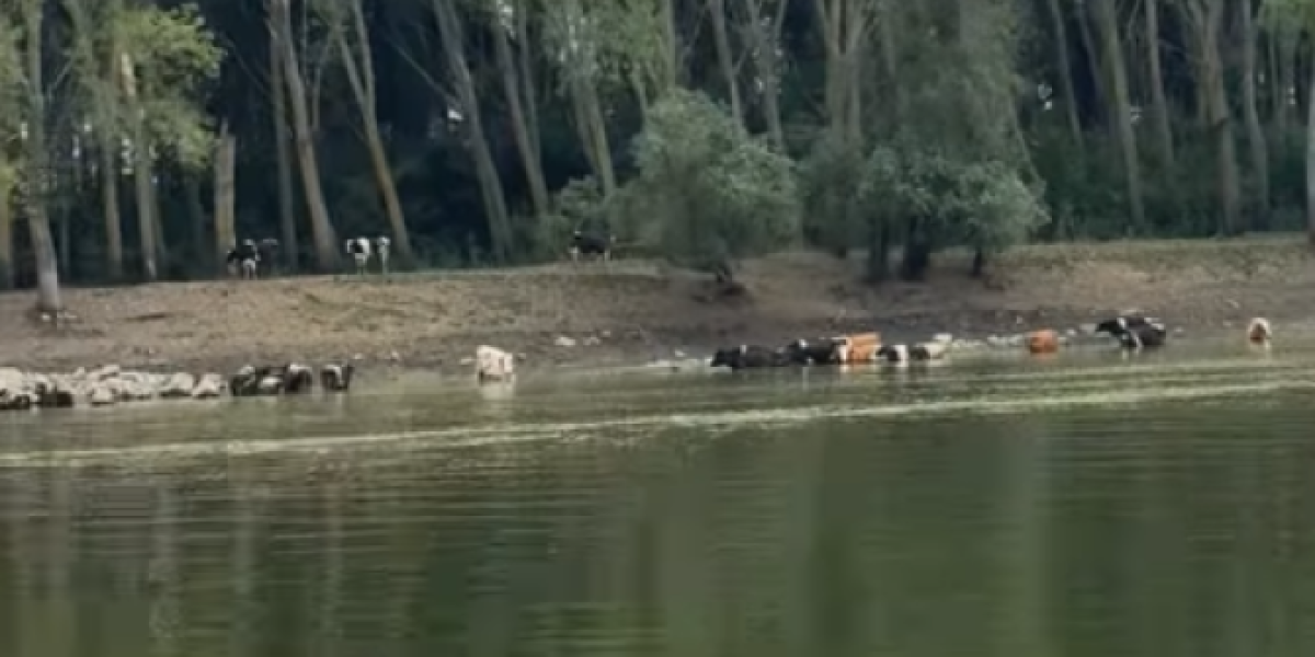 Veljko Ražnatović odmara