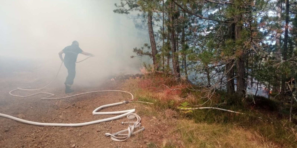 Drama u Deliblatskoj peščari: Vatrogasci iz pet opština gase buktinju, u borbu sa vatrom se uključuje i "Super puma"