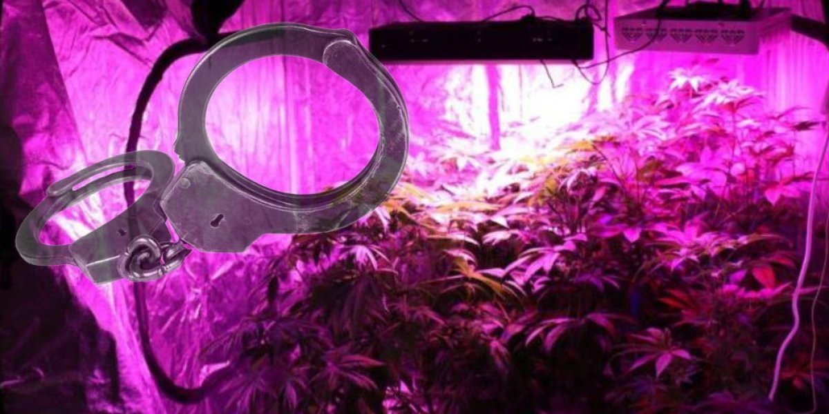 Kik-bokser i bivši reprezentativac Srbije osuđen zbog droge: Napravio laboratoriju na kraju sela u Sloveniji, pa pao sa ortacima