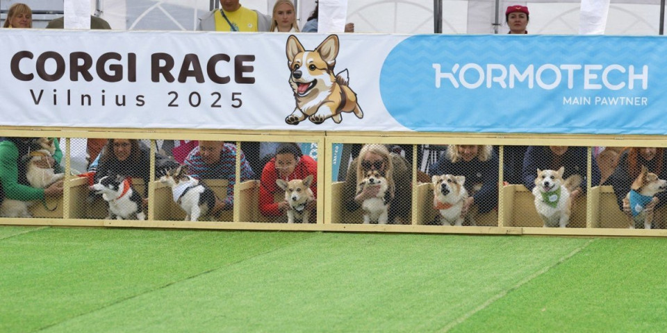 Najsimpatičniji događaj na svetu: Pogledajte trku korgija u Litvanijji - Kostimi kakve još niste videli(FOTO)