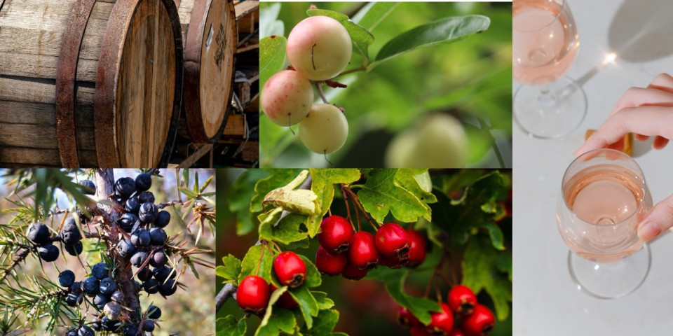 Da li znate šta je vodnjika? Otkrijte tradicionalni recept za lekoviti napitak naših baka