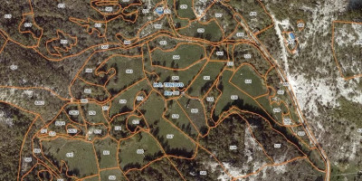 Vrednost zaplenjene robe na plantaži marihuane u Crnoj Gori procenjuje se na više miliona evra.