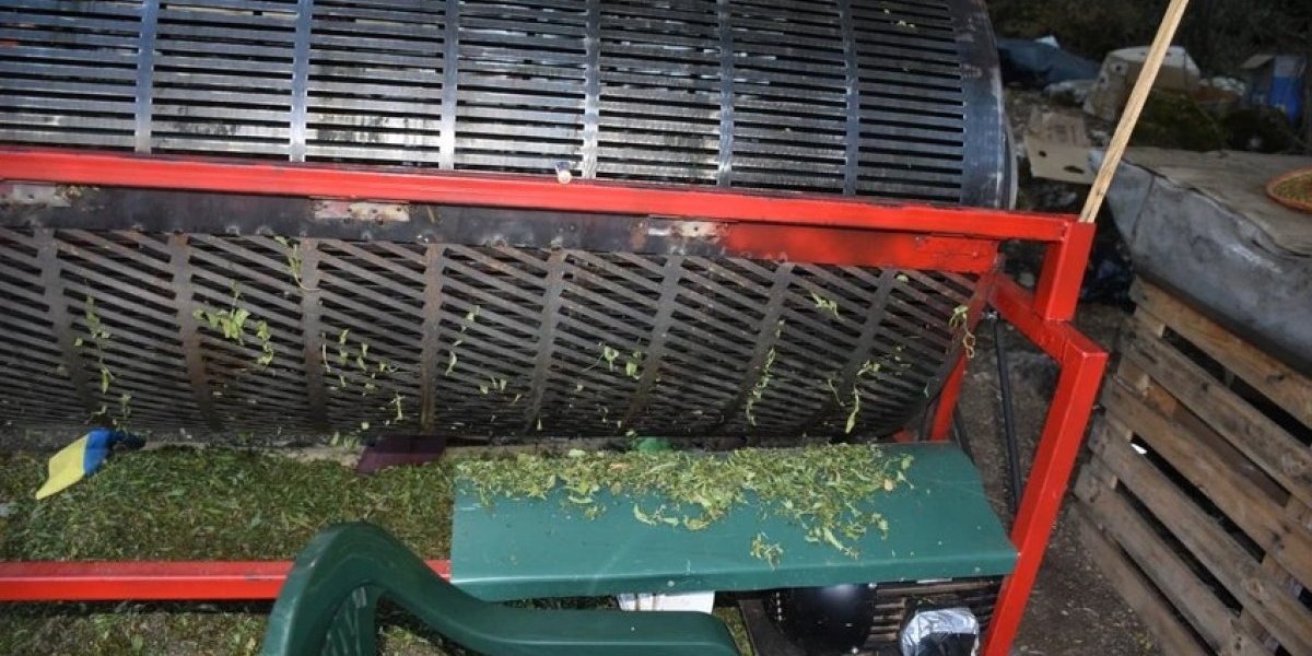 Plantaža marihuane u Crnoj Gori