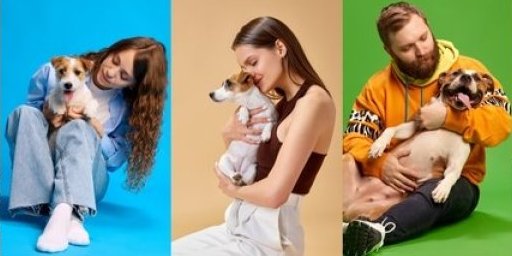 Oni su nas naučili šta je bezuslovna ljubav: Danas obeležavamo Međunarodni dan pasa