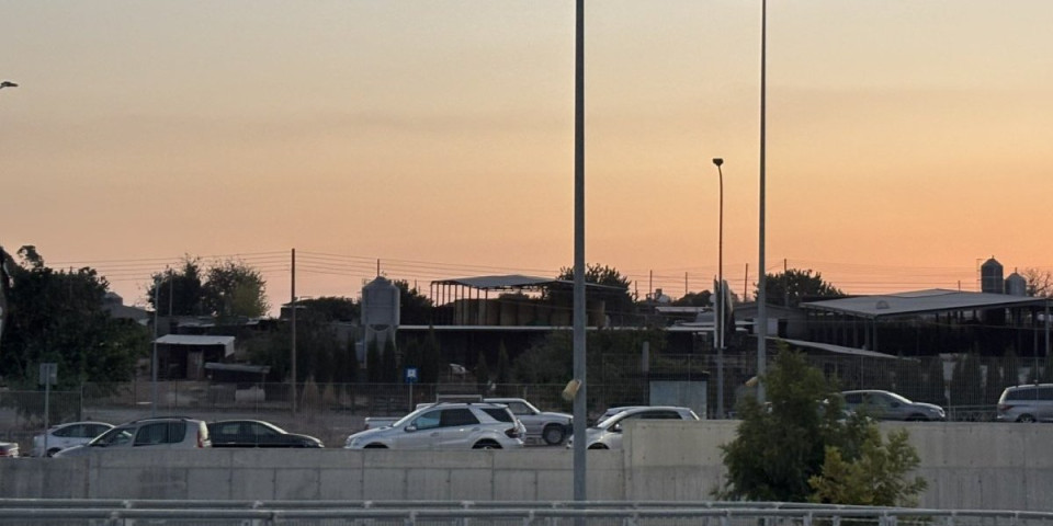 Nestvaran prizor! Farma krava prekoputa stadiona gde igra Zvezda, smrad je nepodnošljiv