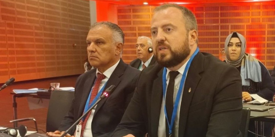 Ceo govor narodnog poslanika u Savetu Evrope: Ovim podacima rasturio blokadere