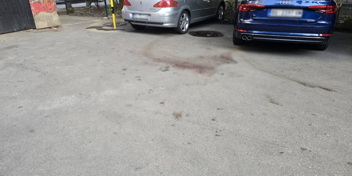 Mesto ubistva na Vračaru