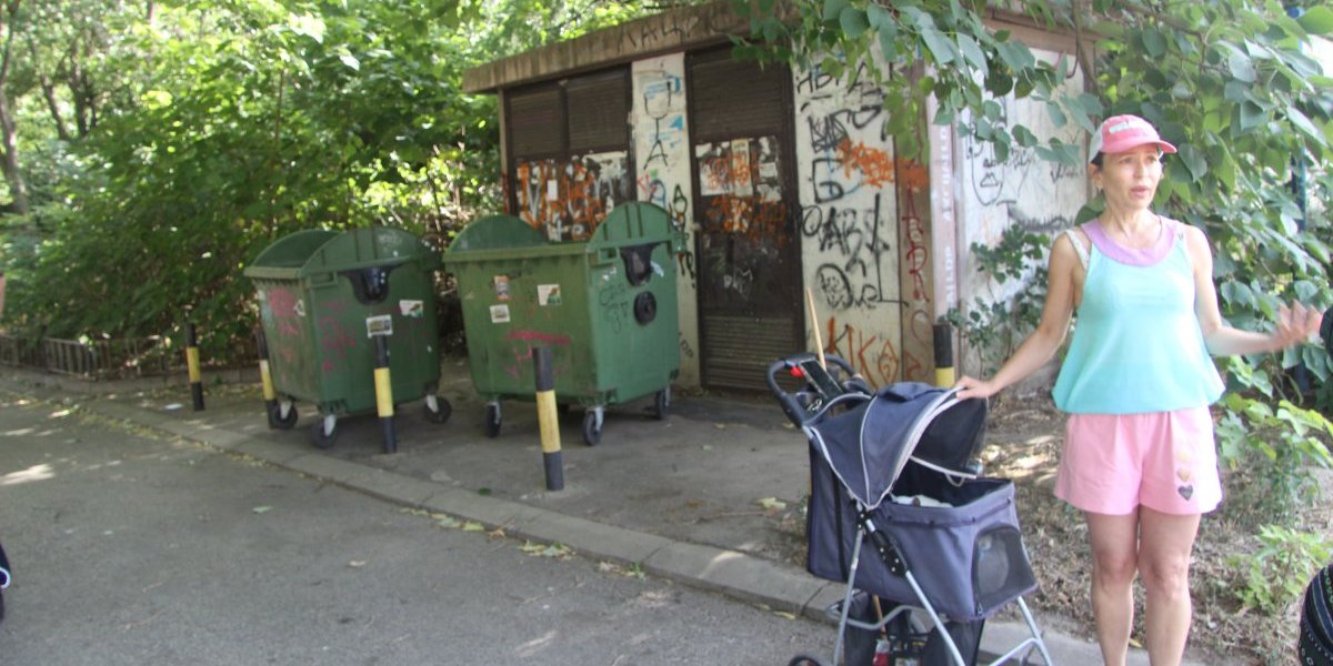 Maja Miladinović šetala kucu