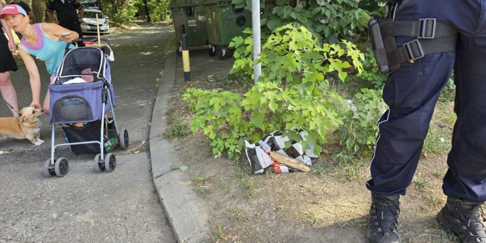 Ovo je majka koja je ostavila bebu u kontejneru: Život provela u Zvečanskoj, pa bacila svoje dete (FOTO/VIDEO)