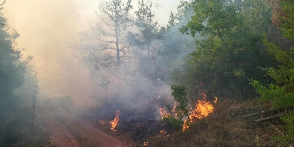 Požar kod Niša traje danima: Sve raspoložive snage su na terenu (FOTO)