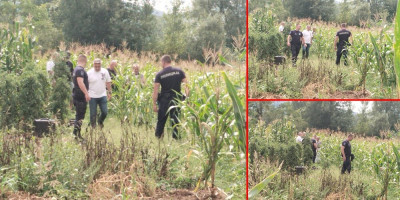 Ljubisav Trifunović (81) iz svrljiškog sela Pirkovac koji se sumnjiči da je ubio svog komšiju Jovana Mihajlovića (80), doveden je na mesto zločina kako bi pokazao gde je bacio telo komšije kojeg je ubio.